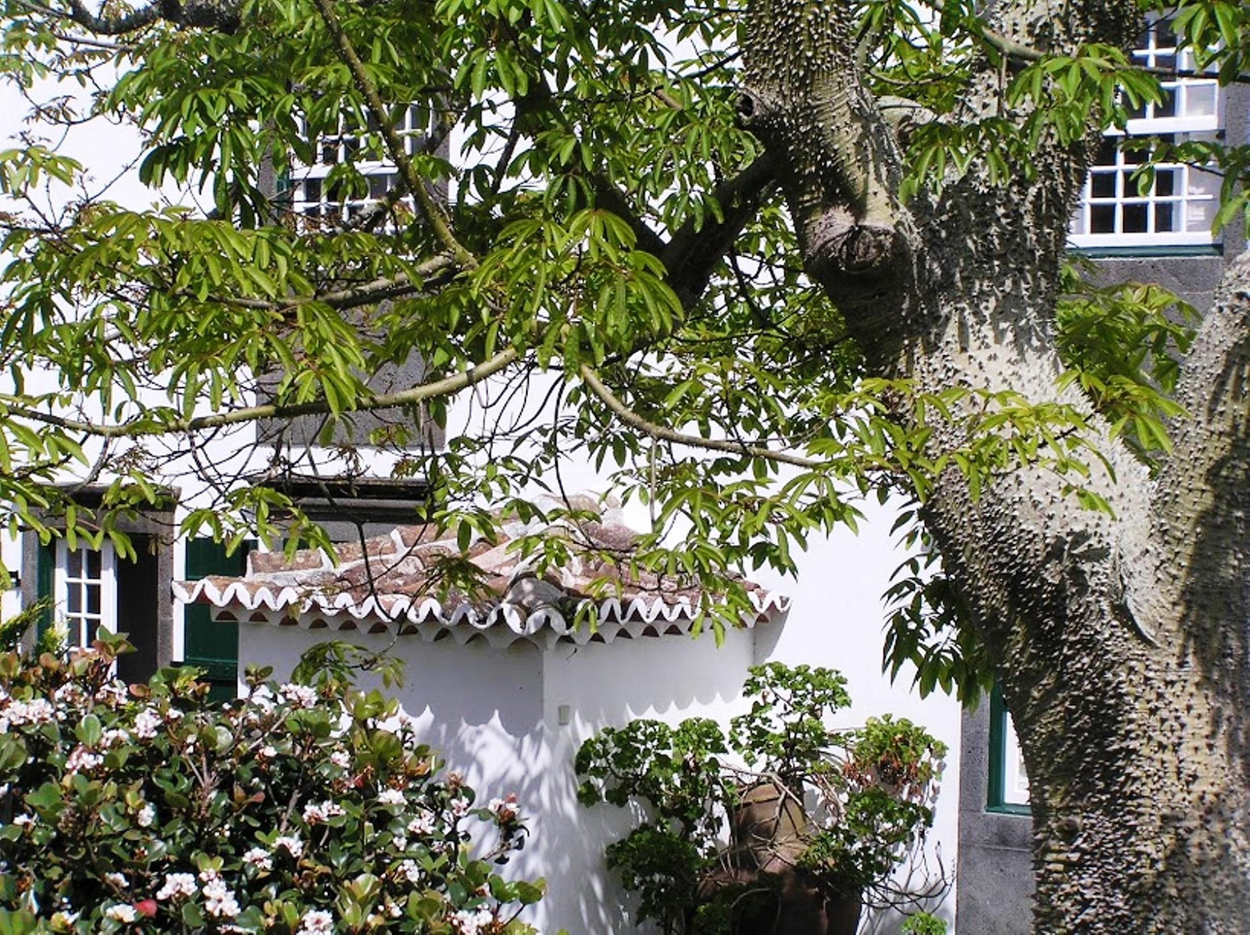 Casa Das Calhetas - Turismo De Habitacao Bagian luar foto